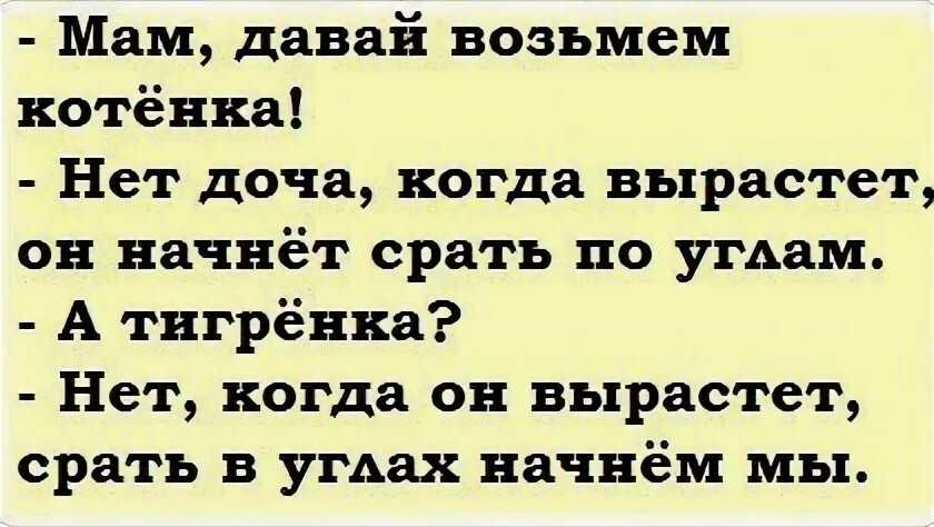 342 смешные подписи и цитаты к фото в инстаграм