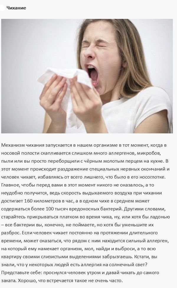 Почему человек чихает и стоит ли об этом беспокоиться? | сиалор