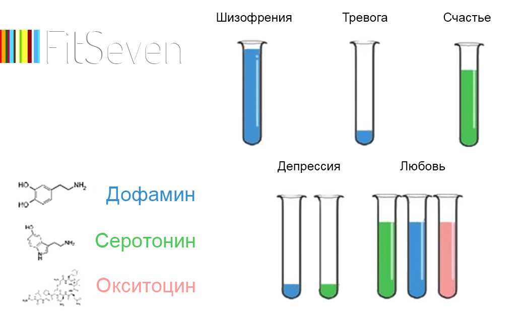 Химия любви: почему мы влюбляемся? | познание мира