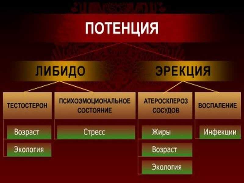 Либидо у женщин. как поднять либидо после 40