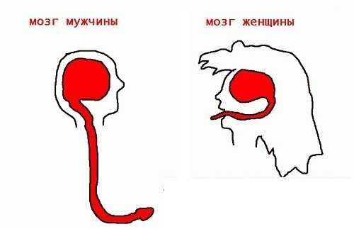 Немного о разнице психологий. мужская и женская логика