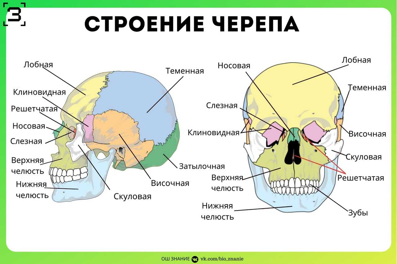 Кольцо на мизинце: значение ношения колец на этом пальце для мужчин и женщин