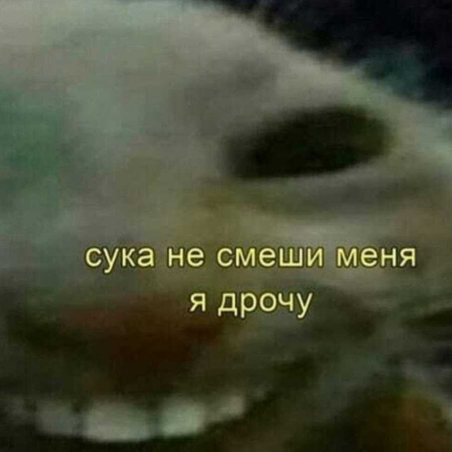Смех продлевает жизнь: цитаты и афоризмы про смех, юмор и улыбку