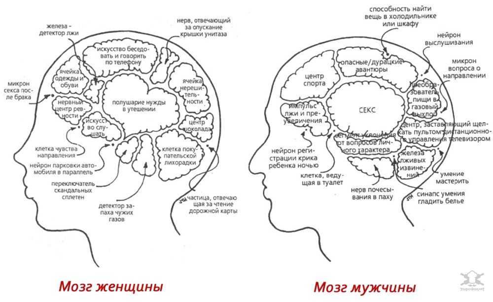 Женские мысли в простой и понятной схеме