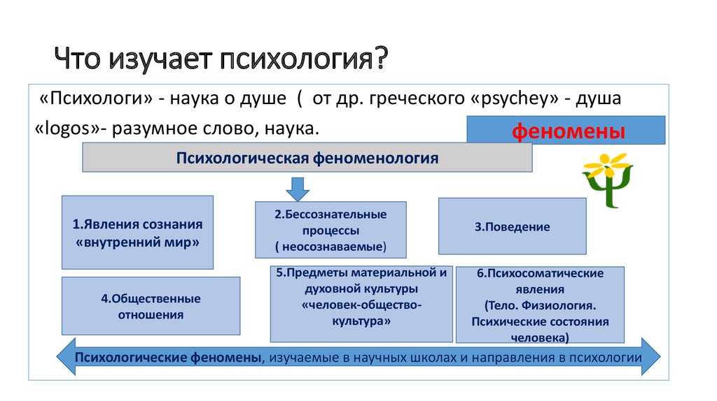 Егэ+тема+человек - 11 класс  - каталог статей - сайт учителя истории и обществознания