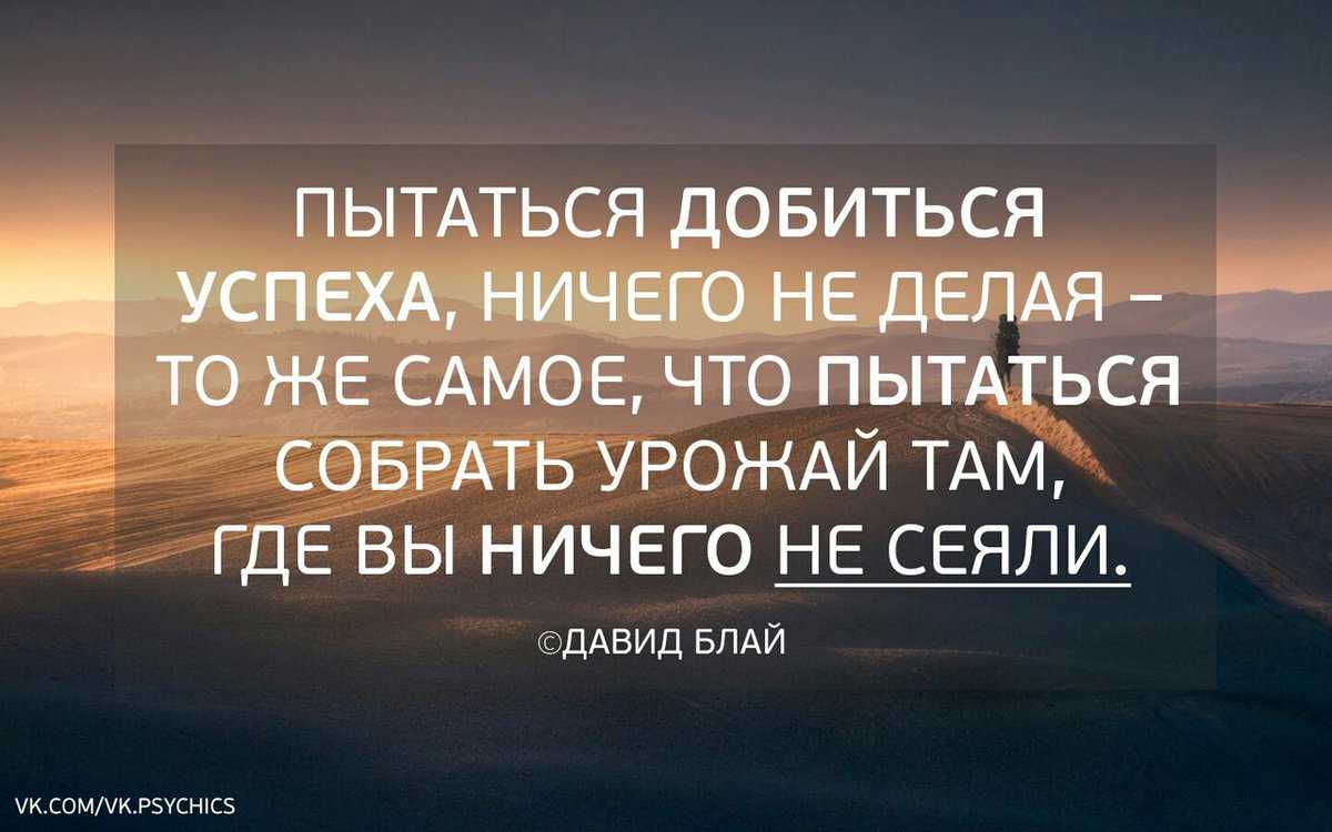 300+ кратких позитивных цитат, которые сделают ваш день ярче