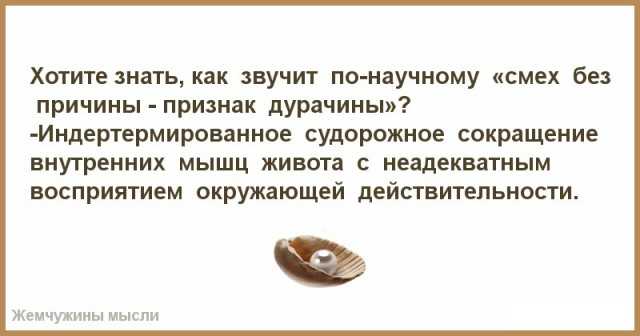 Значение пословицы "смех без причины - признак дурачины" и его влияние на восприятие окружающими