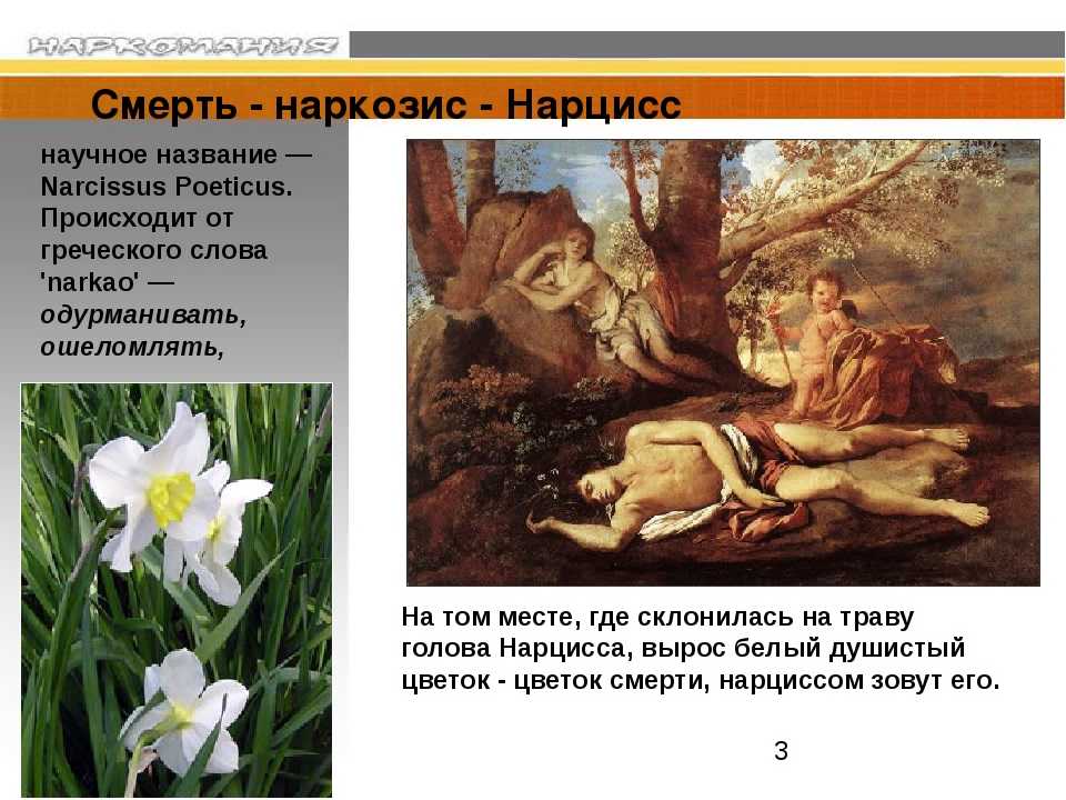 Высокая самооценка или фальшивое я? здоровый и патологический нарциссизм
