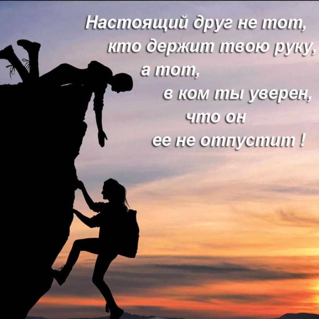 Афоризмы о дружбе и друзьях, все про дружбу и друзей в афоризмах