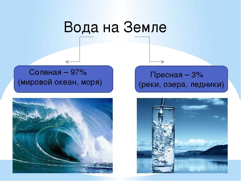 Погрузись в увлекательный мир соленых водоемов, которые простираются далеко за пределами морей и океанов, и исследуй уникальные водные пространства нашей планеты