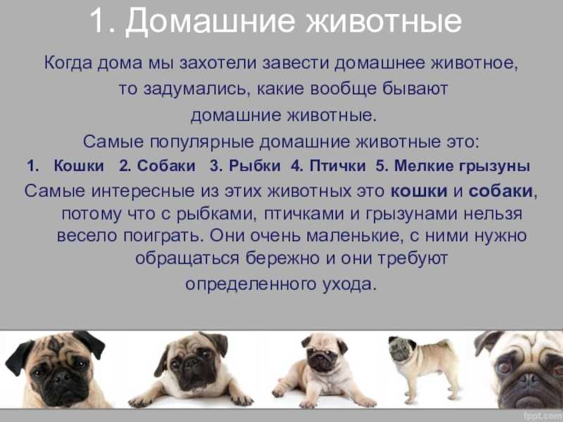 Пожелания ярких впечатлений
