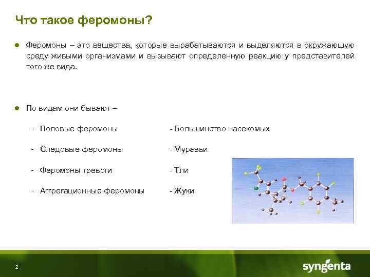 20 эффективных женских возбудителей для невероятных ощущений