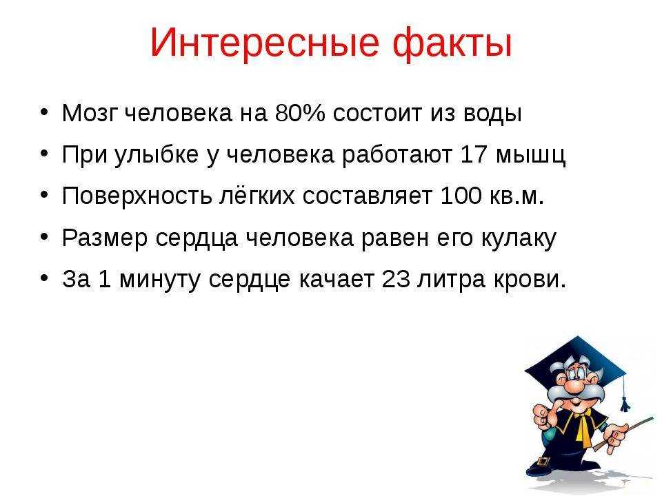 Топ-50 интересных фактов обо всем в картинках.