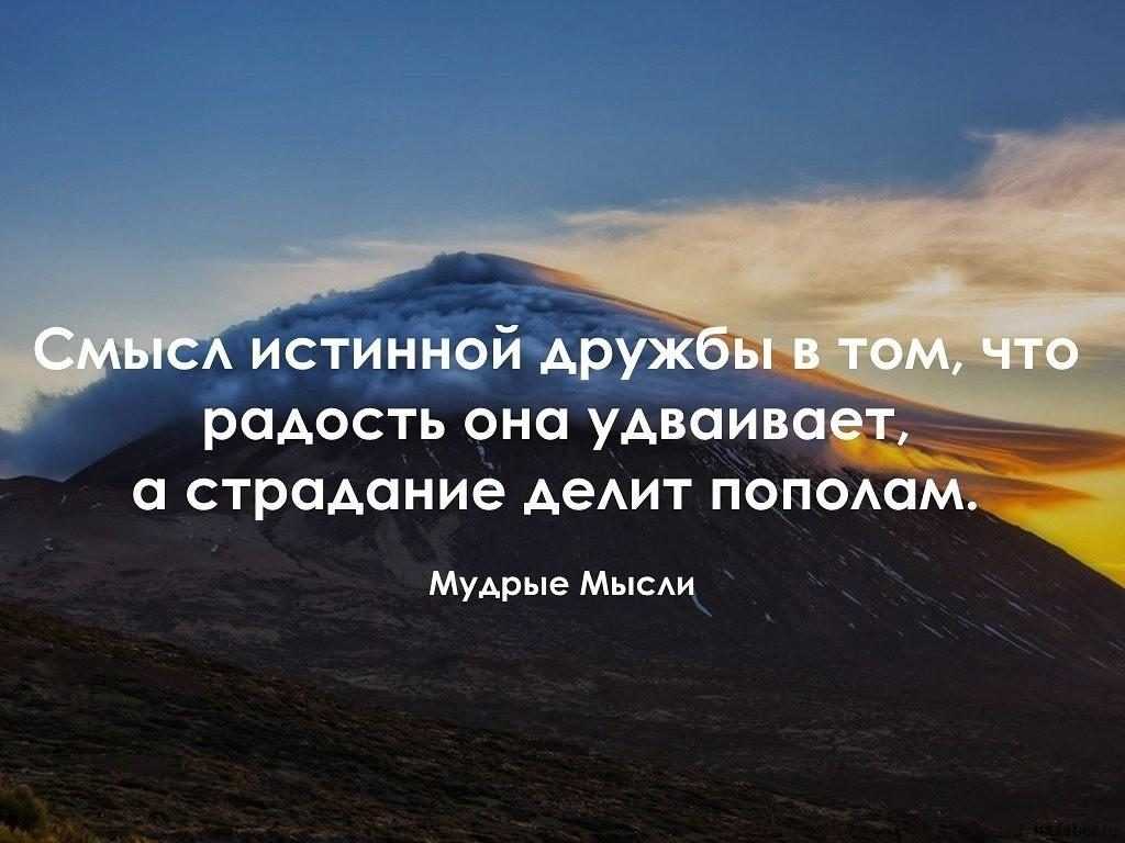 Сочинение на тему дружба (рассуждение)