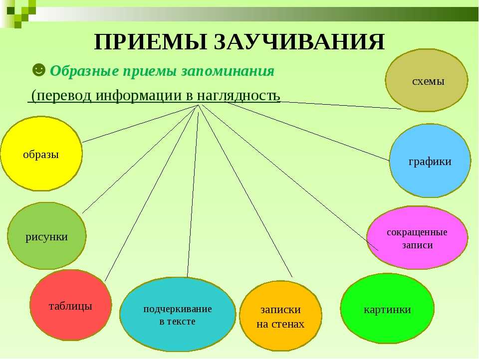 Что такое мнемоническая фраза и как ее использовать: примеры и инструкция