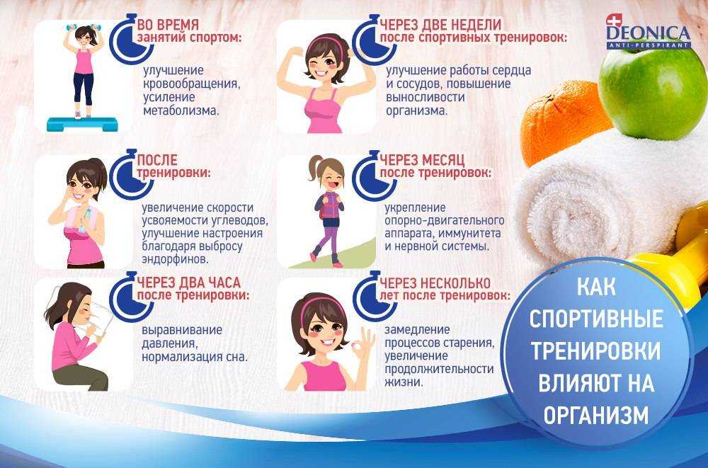 Влияние спорта на жизнь и здоровье человека | inormal — психология и жизнь