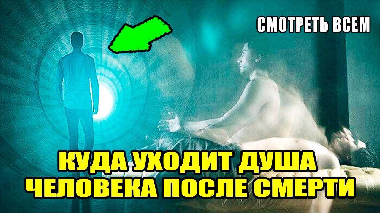 Что такое душа человека с научной точки зрения: есть ли душа у человека, где находится душа или ее не существует?