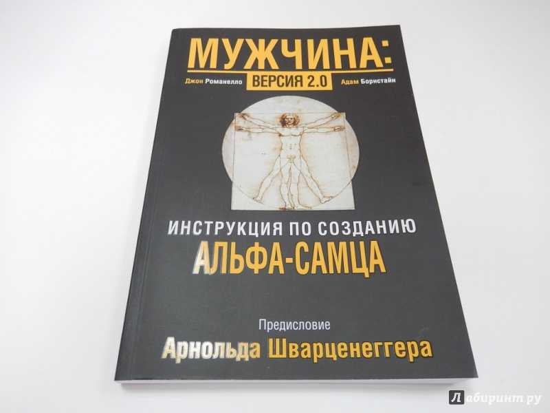 Кто такой альфа? мышление, признаки и внутренние качества