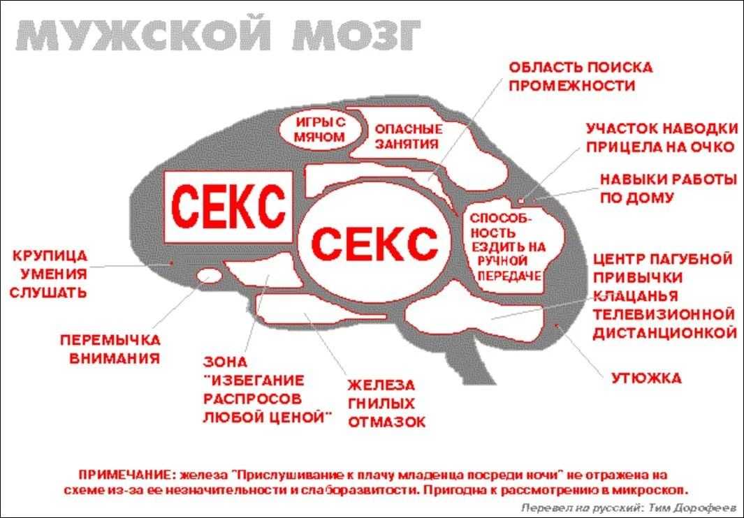 Lovely💖 логика девушек в отношениях, ее отличие от мужской
