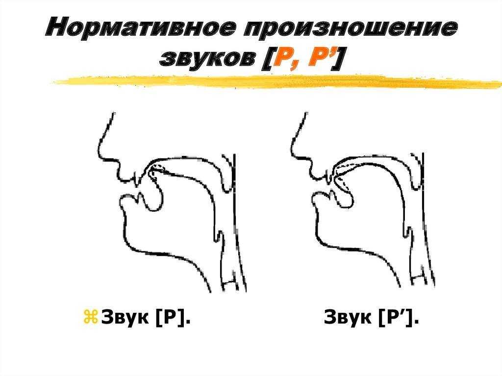 Французский жим лежа - техника, преимущества и вариации