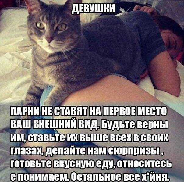 Как отомстить любовнице мужа, зная ее номер телефона и в интернете