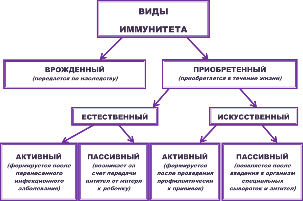 Советы психолога: как не принимать все на свой счет