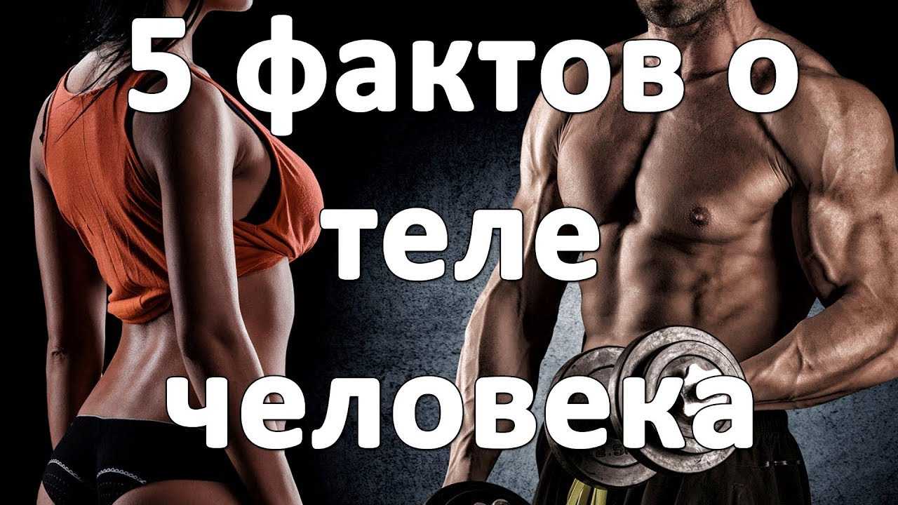 Крупнейшие неразгаданные тайны человеческого тела