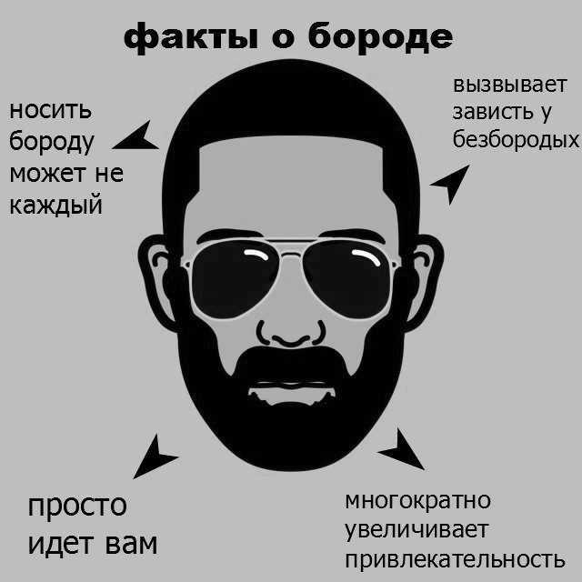 Форма бороды у мужчин по типу лица: как подобрать подходящую?