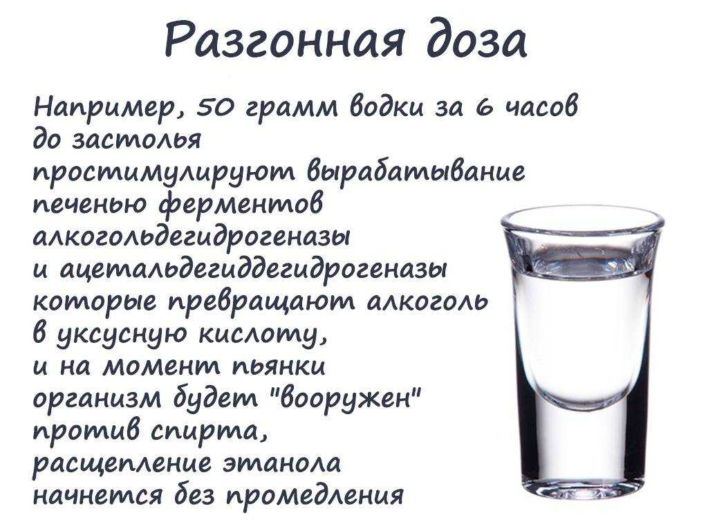 Почему человек пьянеет: процесс развития опьянения
