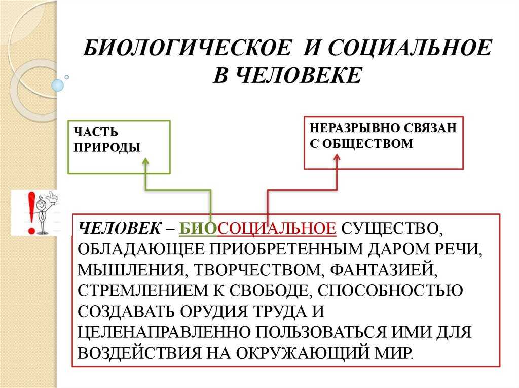 Человек и животное: проблема тождества и различия -теоретические аспекты психики человека и животных