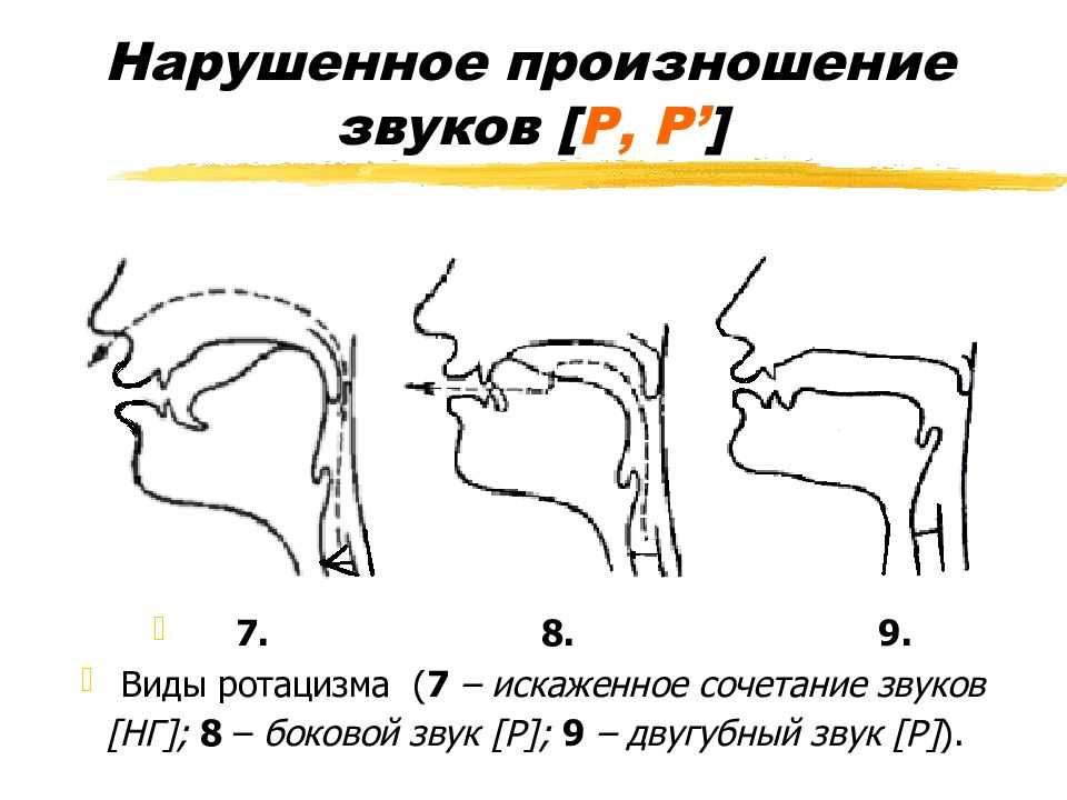 Стиль и элегантность. советы кристиана диора