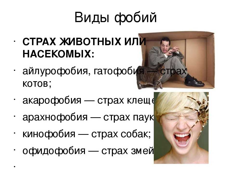 Техника запоминания | чертоги разума | дворец памяти | memory palace