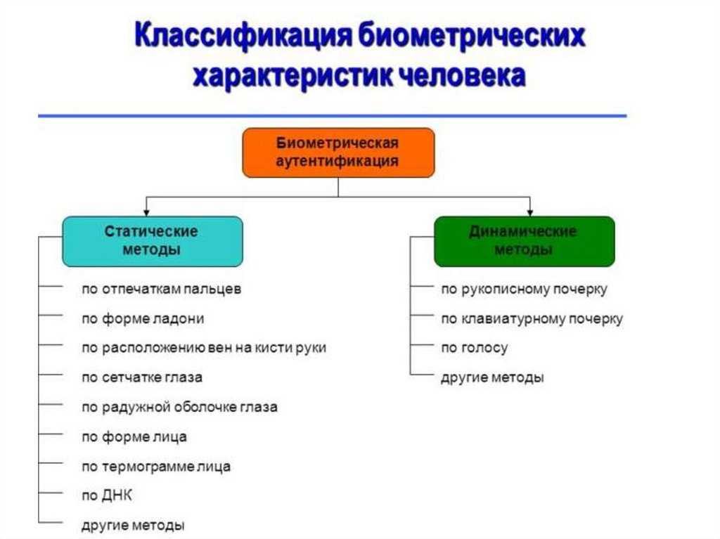 Значение идентификации в психологии и криминалистике