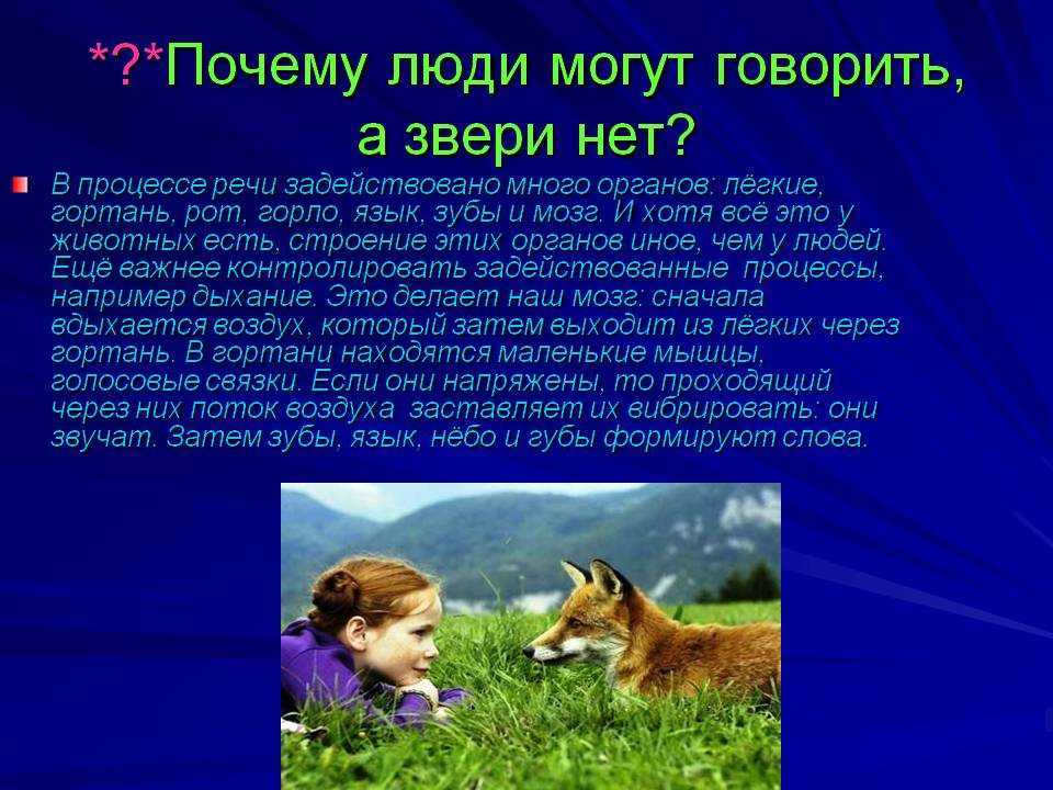 53 интересных факта о животных со всего света - mental sky