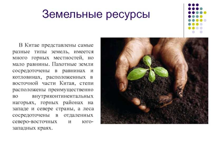 Экономическое китайское чудо