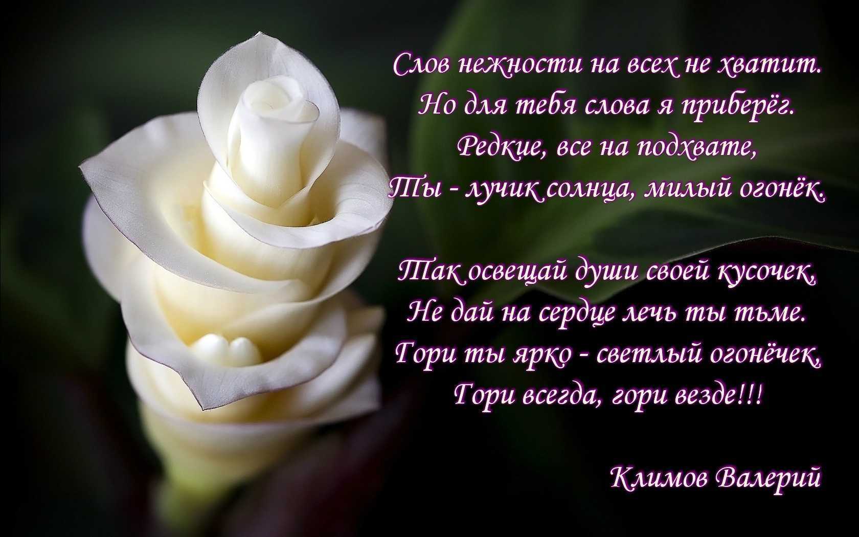 Ласковые слова мужчине! подборка самых приятных и оригинальных фраз для выражения чувств…