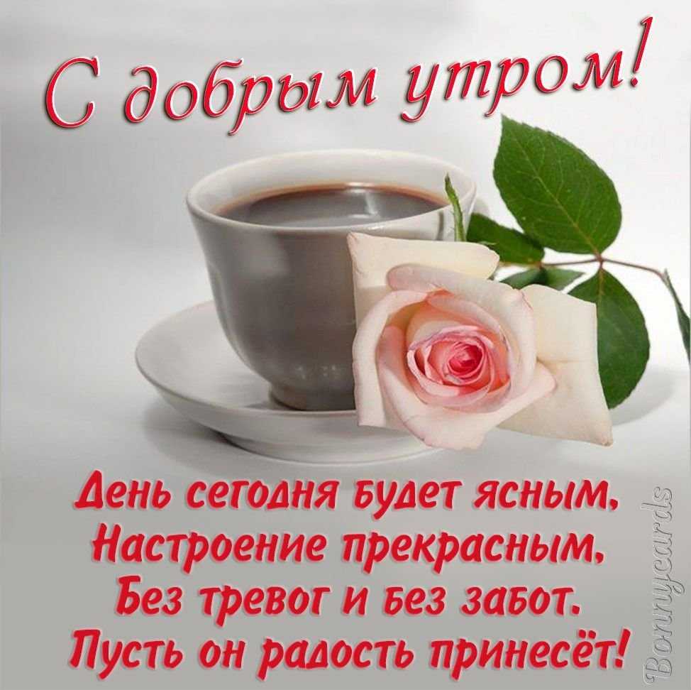 Смс с добрым утром любимому мужчине. короткие, красивые, нежные, своими словами