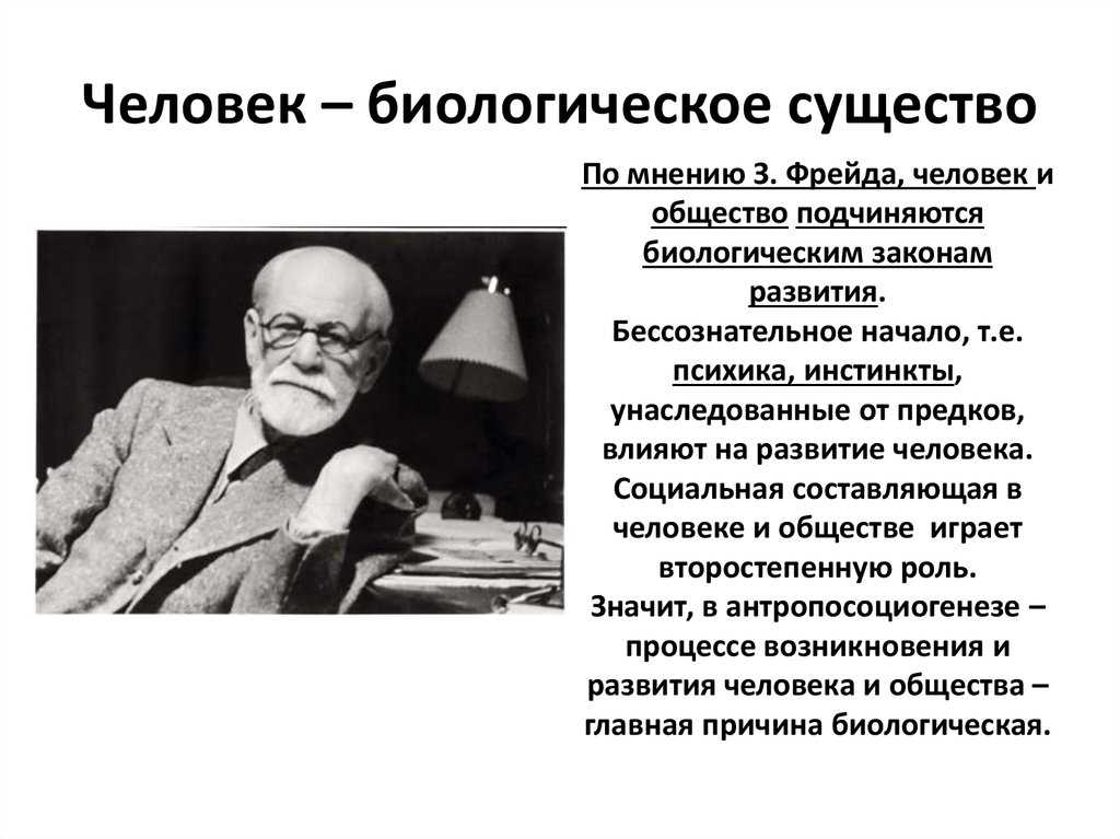 5 очень глупых животных нашей планеты, которых мы считаем няшками