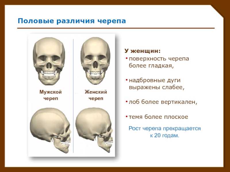 Полигамные отношения: причины, преимущества и недостатки | отношений.нет