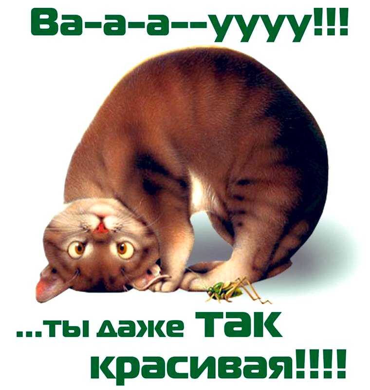 Как и какие говорить комплименты. 100 комплиментов девушке. примеры комплиментов девушке, ненавязчивые, очень красивые, до слез, в стихах, прозе, смс, в картинках. учимся говорить комплименты