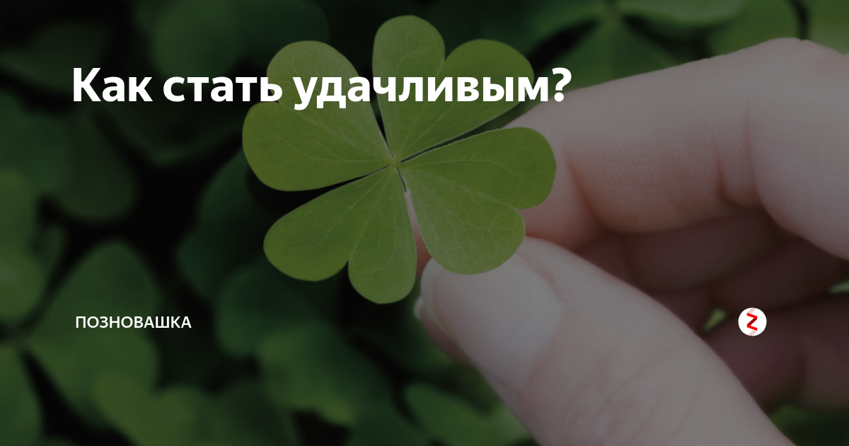 В этой статье мы рассказали тебе в чем заключается феномен везения Раскрыли черты удачливых людей и дали несколько советов, как поймать удачу за хвост