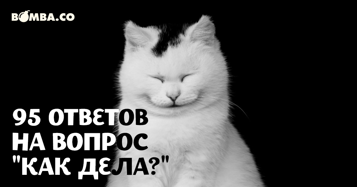 Нестандартные ответы на вопрос «как дела?»