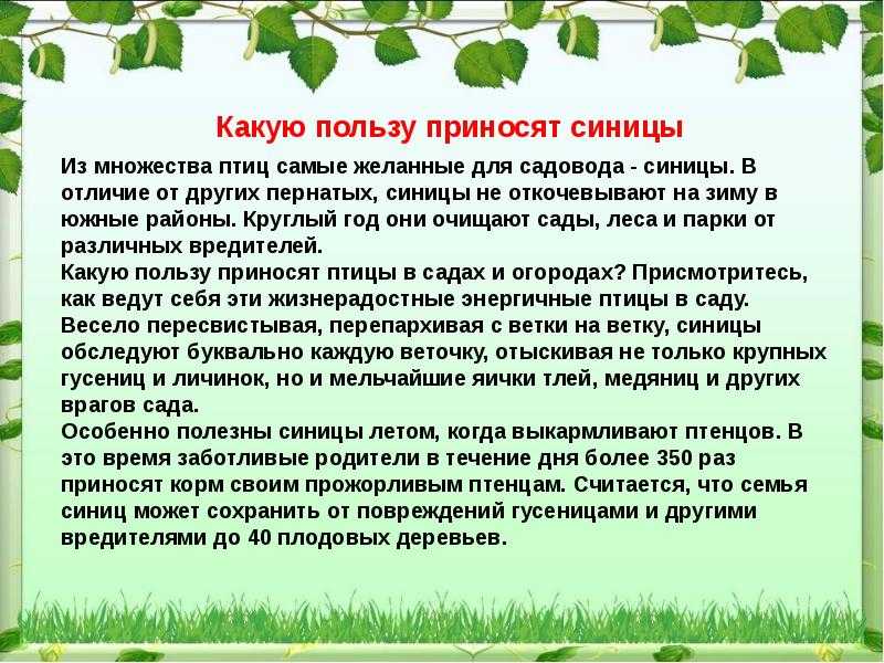 Положительное влияние искусства на жизнь людей