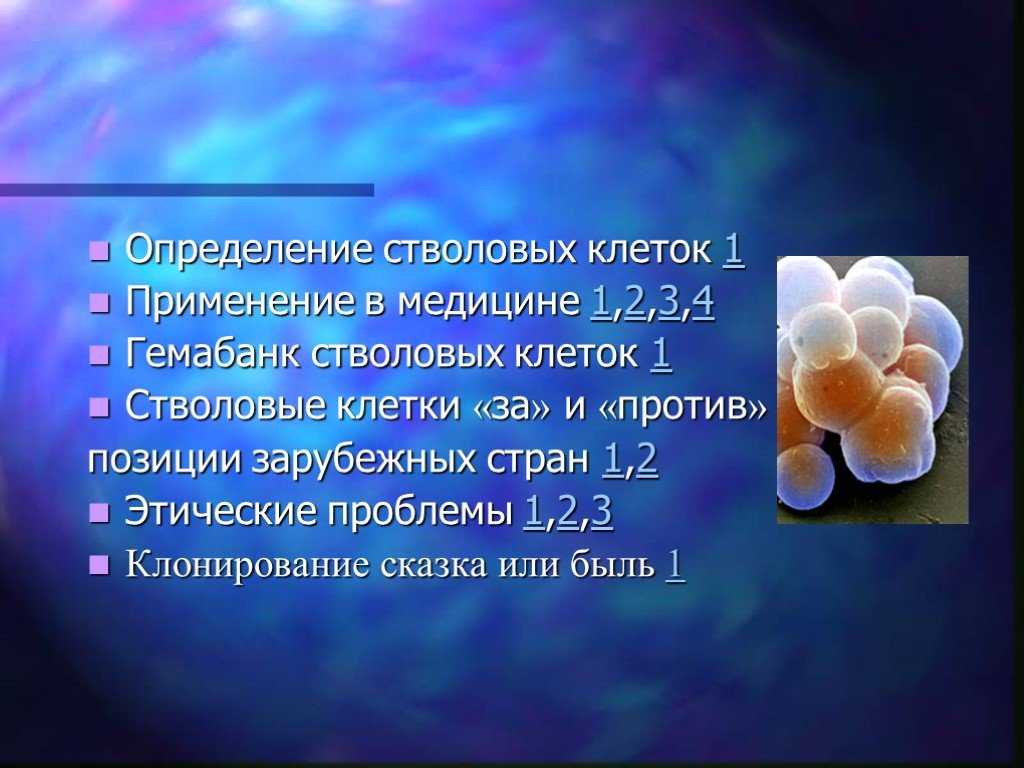 Почему клонирование запрещено: причины и особенности запрета во многих странах