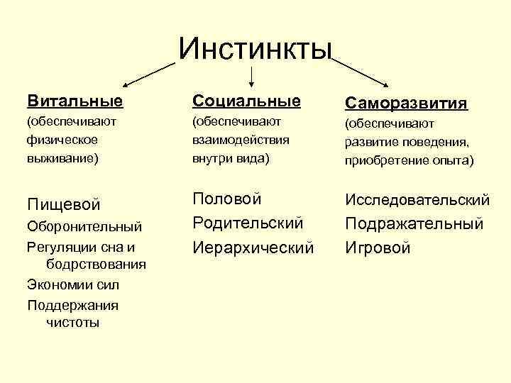 Лучшие тесты по картинкам | aut...aut