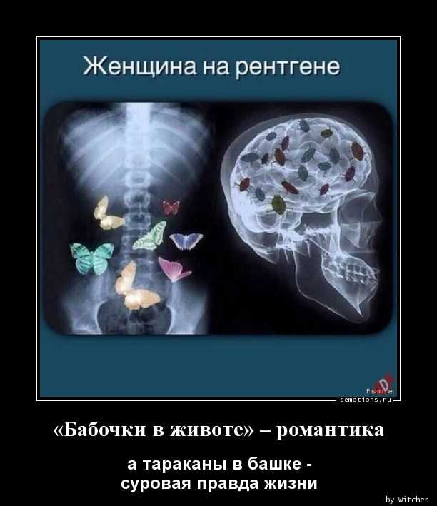 Бабочки в животе - что это такое и как их вызвать? • журнал амром