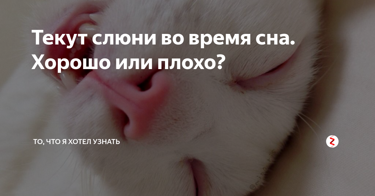 Гиперсаливация (повышенное слюноотделение) у взрослых: причины и способы избавиться