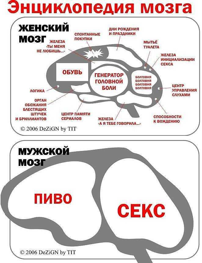 Что такое женская логика и для чего она нужна